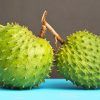 soursop fruit