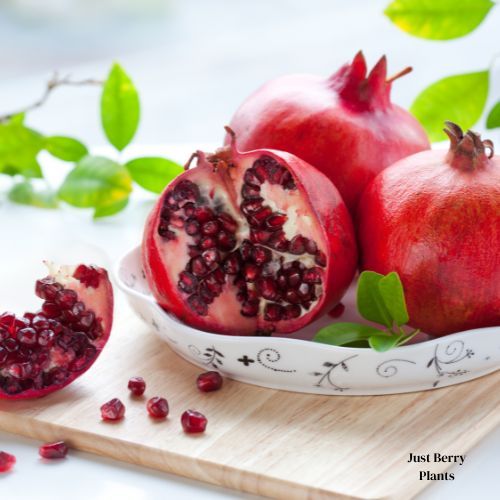 Baghwa pomegranate