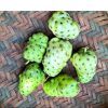 Noni Fruit