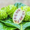 Noni/Morinda citrifolia