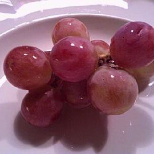 Red Glob vinee seeded grape