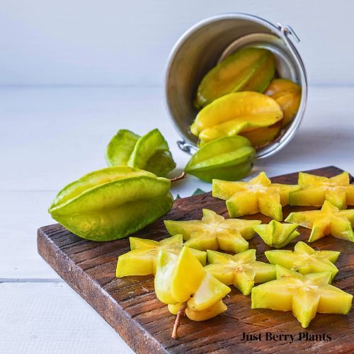 Star fruit